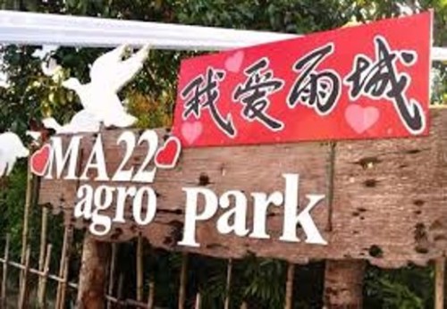 4d Penang Ipoh Taiping Tour 4天槟城 太平 怡保玩透透