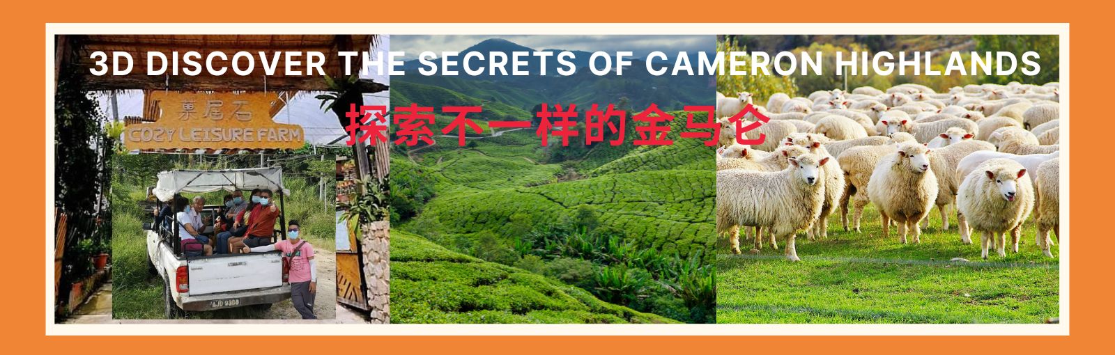 https://www.96travel.com.sg/tour?id=85&n=3d-discover-the-secrets-of-cameron-highlands