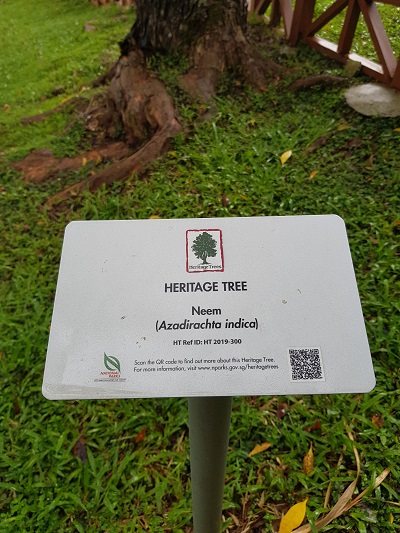 St John Island Heritage Tree