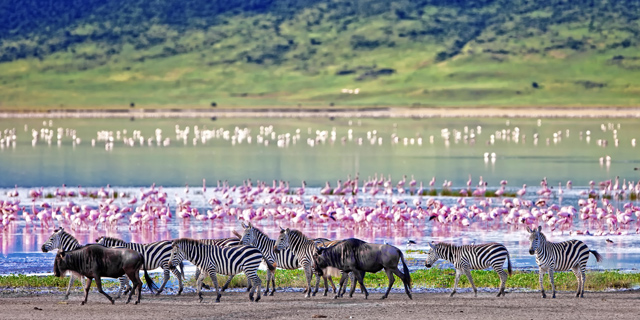 tanzania-ngorongoro-crater